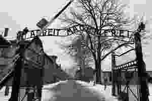 Auschwitz @IlariaGiacomello