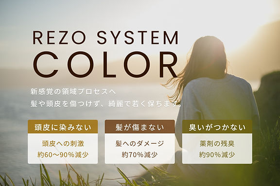 rezo-system-photo1.jpg
