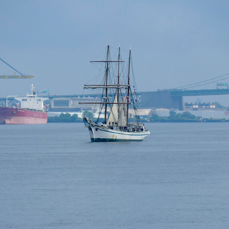 Gazela leaves port for day sails in June