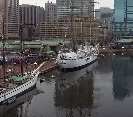 Gazela Spotted in Drone Video of Baltimore’s Inner Harbor