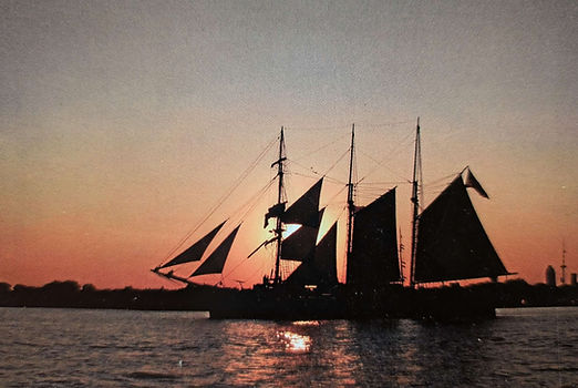 PXL_20241002_201415083_edited.jpg