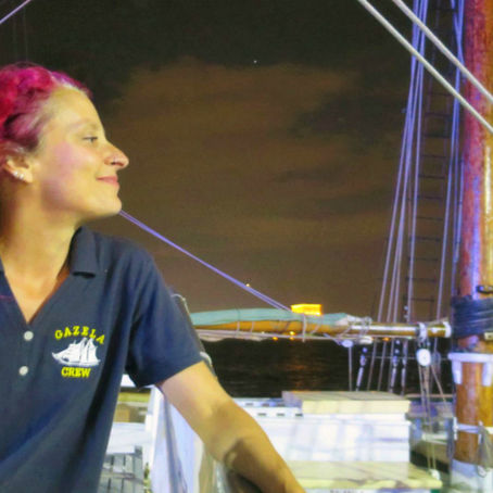 Oh Ship! Calling all sailors, pirates, and history buffs