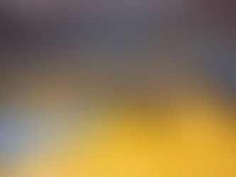 LIGA MARPLATENSE DE BOCCIA