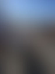 Guias a la Par - Cideli