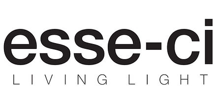 ESSECI_logo.pdf - Adobe Acrobat (64-bit).jpg