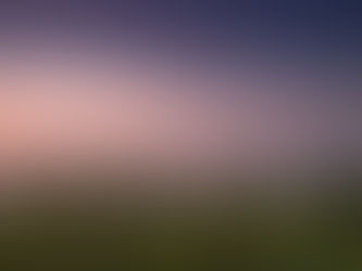 As vinhas velhas fazem vinhos melhores ?