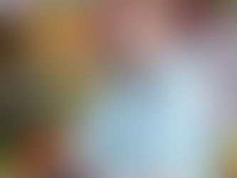 Obra de Joanna Scharlé no "Encontro de Descendentes Luxemburgueses" em Curitiba