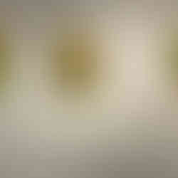 Exposição da artista plástica brasileira-luxemburguesa Joanna Scharlé