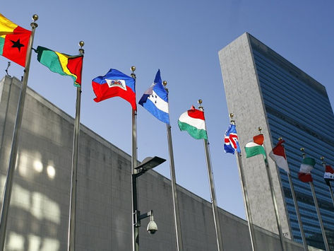 LBV compartilha suas boas práticas com a ONU