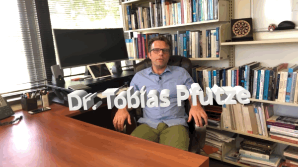 economist professor dr. tobias pfutze in