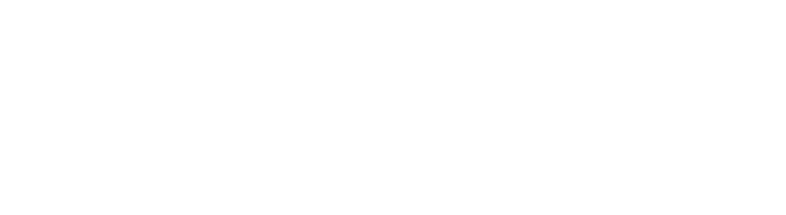REC-Logo_White.gif