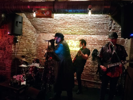 Report Craft Endemics ABRIL 25