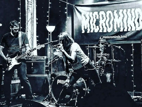 Visitamos a Little Bite Band & Microminds