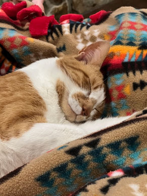 Finally, I can sleep!