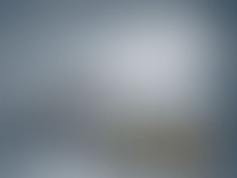 SAVAŞ VE SİLAH GÜCÜNÜN EKONOMİYE ETKİLERİ