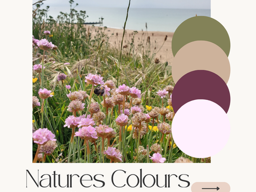 olive and wilde interiors nature walk colours on a hillside overlooking the sea, interior design for airbnb design