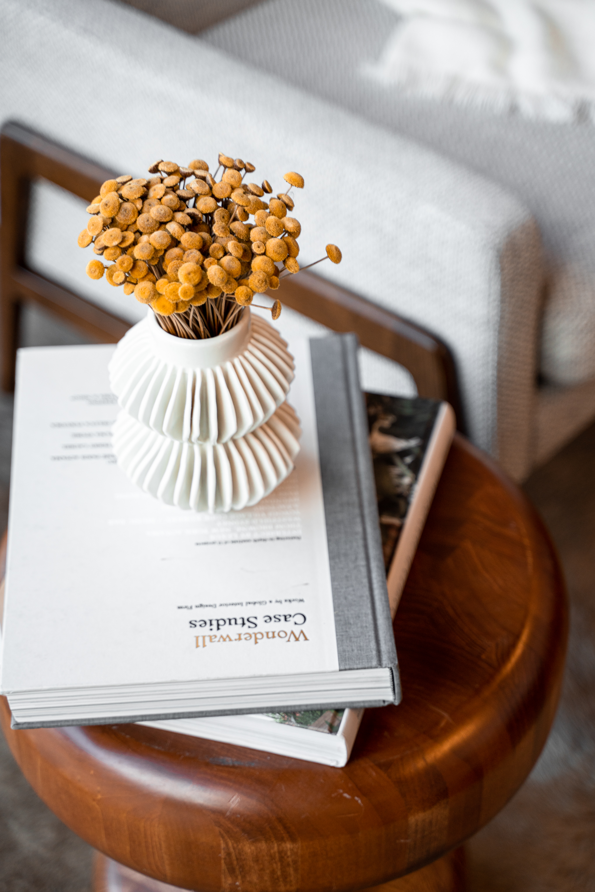 Dentist Tree of The Heights