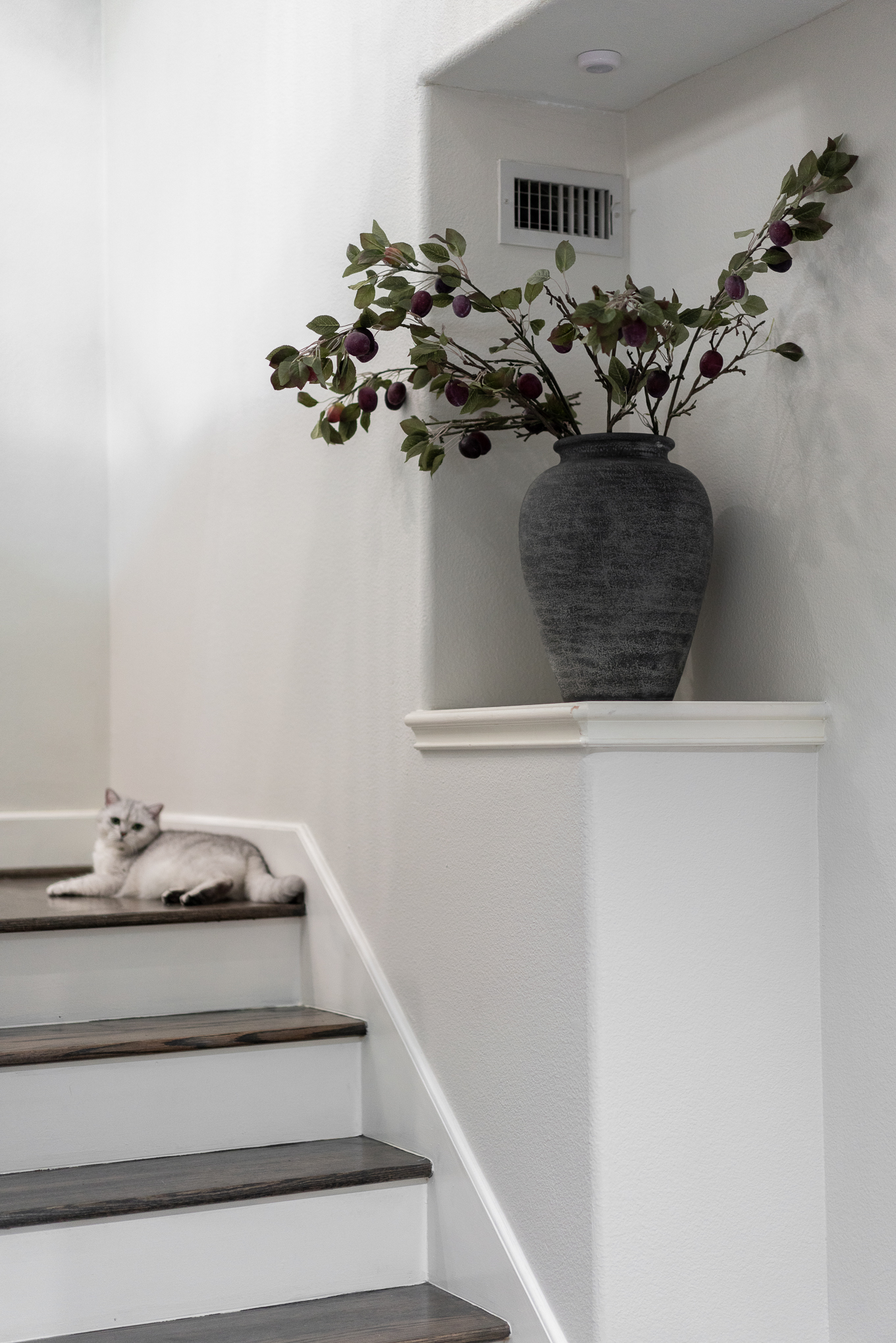 Bomar Residence image 16