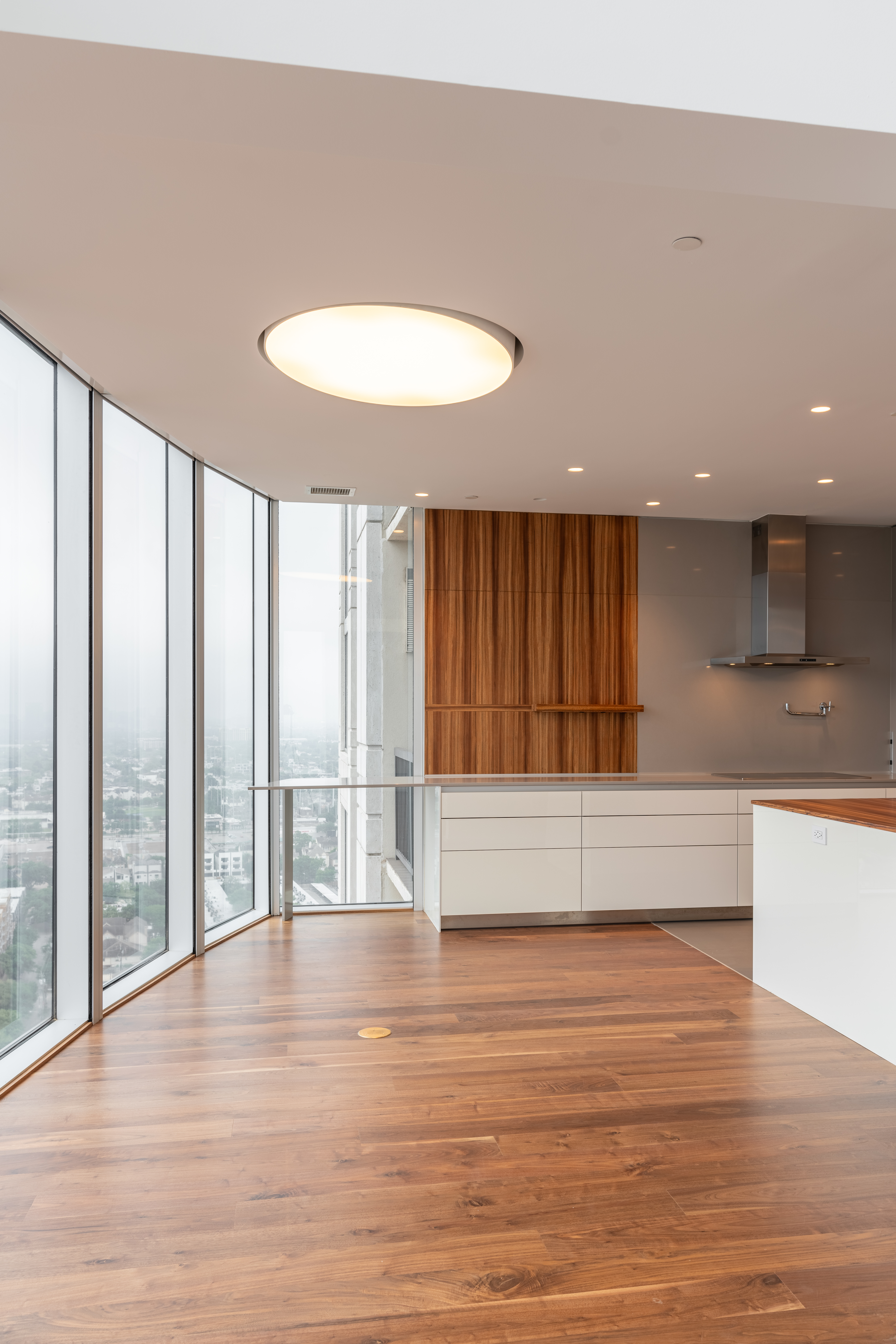 River Oaks Penthouse image 5