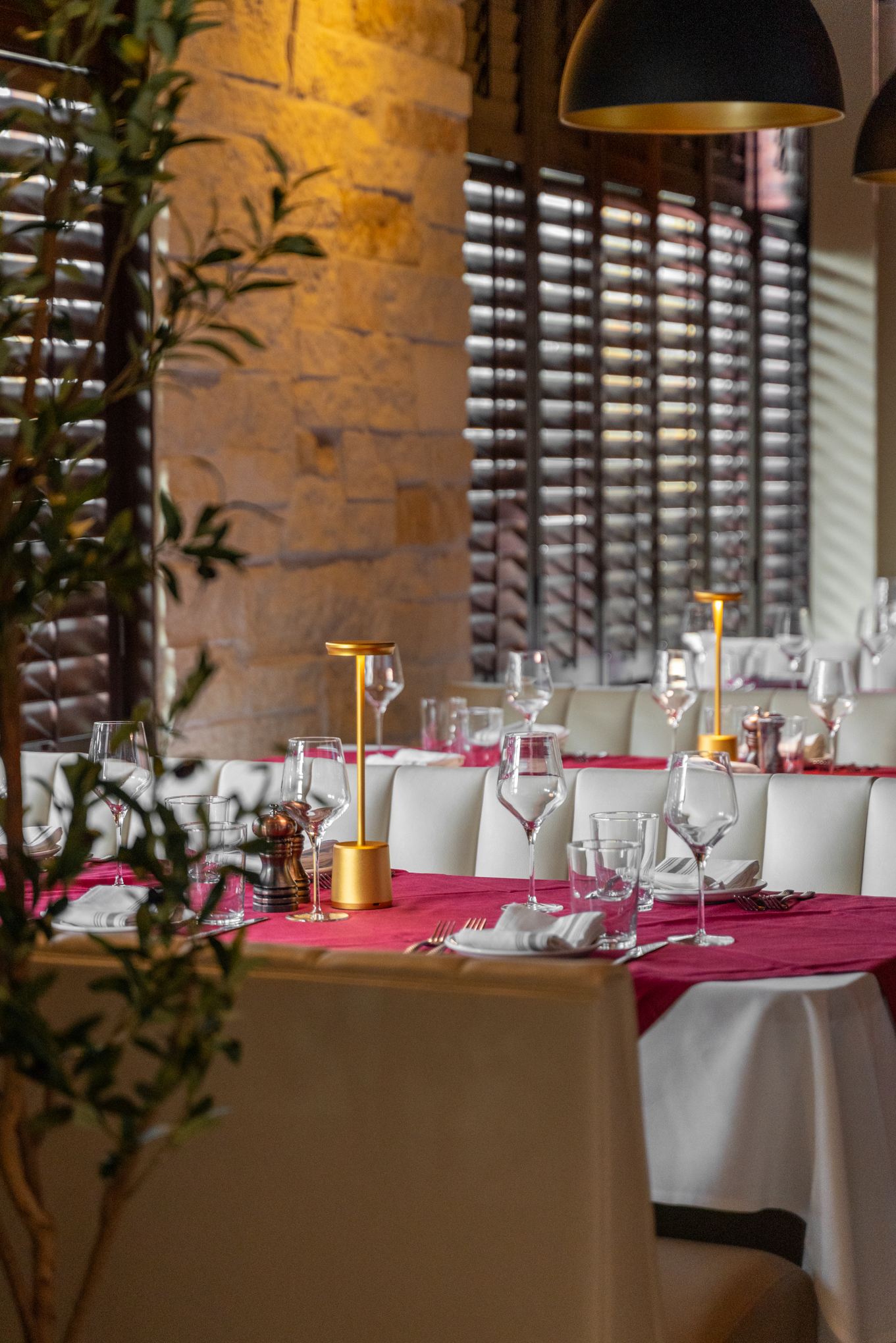 Marcoza Woodlands image 8