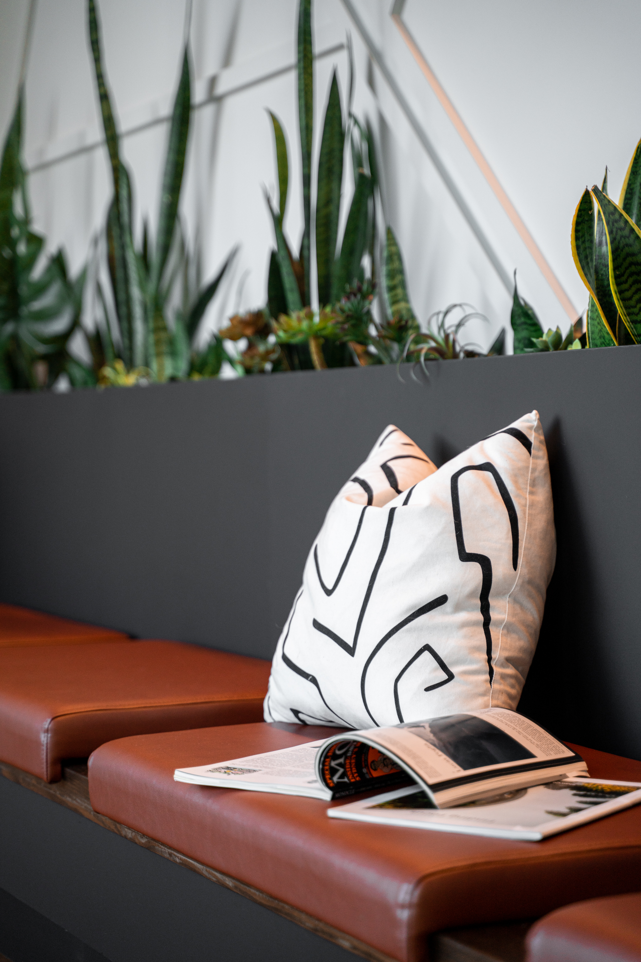 Dentist Tree of The Heights image 5