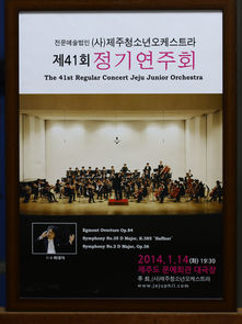 제41회 정기연주회