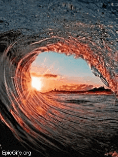 Beach Life GIF.gif