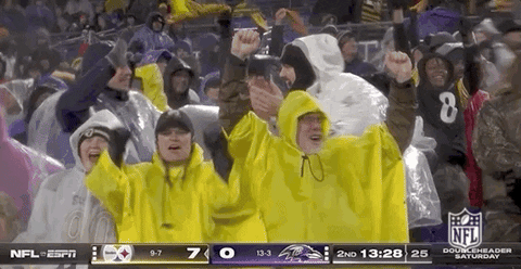 National Football League GIF by NFL.gif