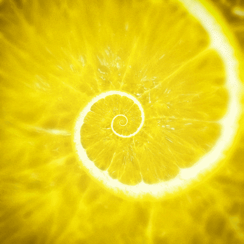 yellow.gif