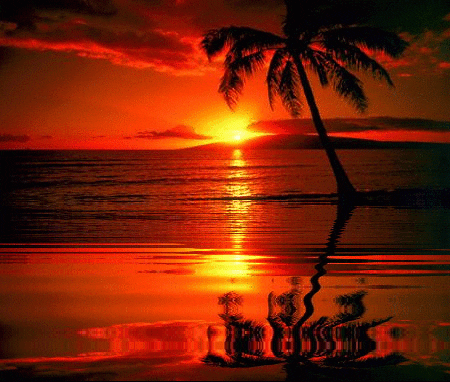 Sunset GIF.gif