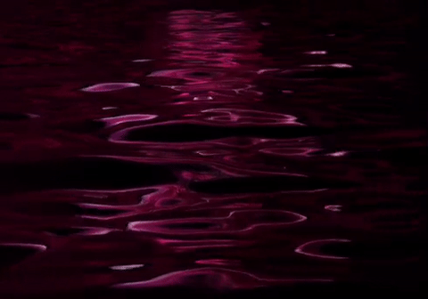 maroon.gif