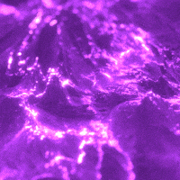 purple gif.gif