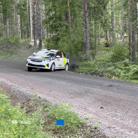 Fail Car Crash GIF by FIA European Rally Championship.gif