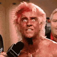 ric flair GIF.gif