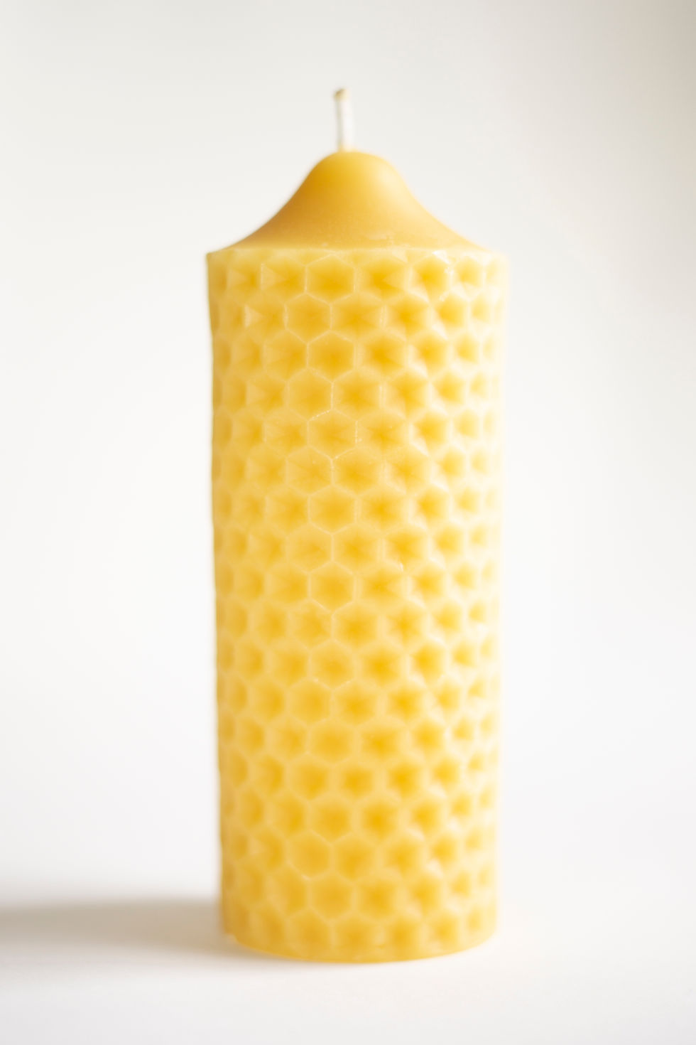 Bee Cylinder Candle