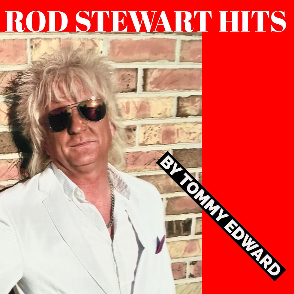 Fort Myers Beach Moose 