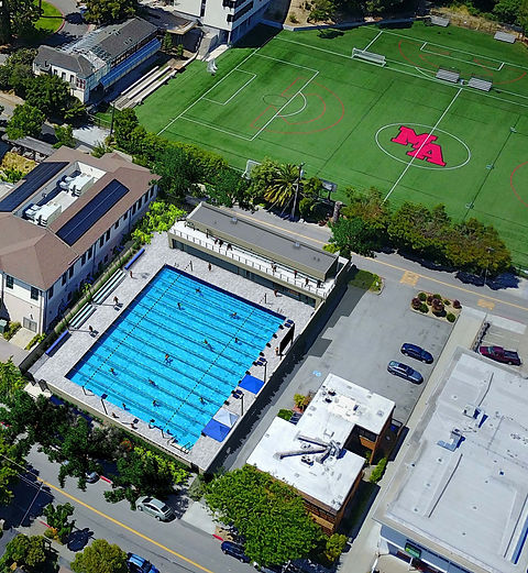 rectangular pool.jpg