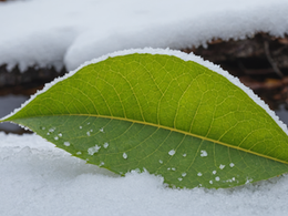 Preparing for Pittsburgh’s Spring Thaw: Early Home Maintenance Tips