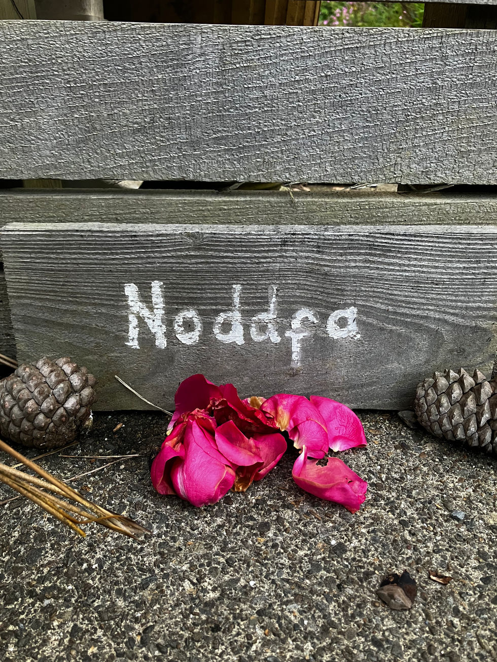 Welcome to Noddfa