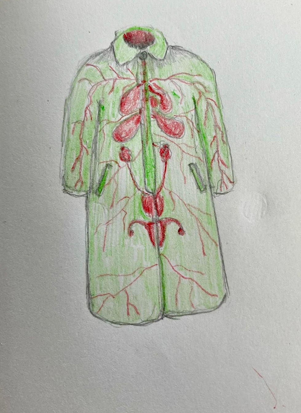 Body coat