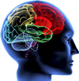 neuroscience.jpeg
