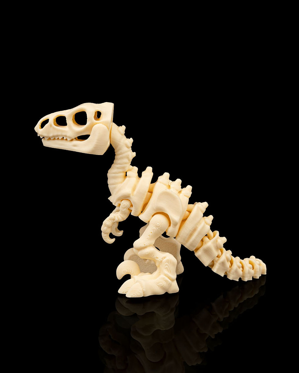 Thumbnail: Skeleton Velociraptor 12cm