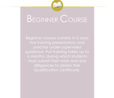 beginner course label.png