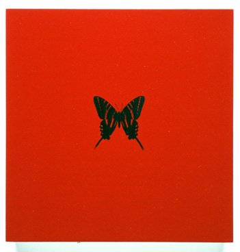 Red Butterfly