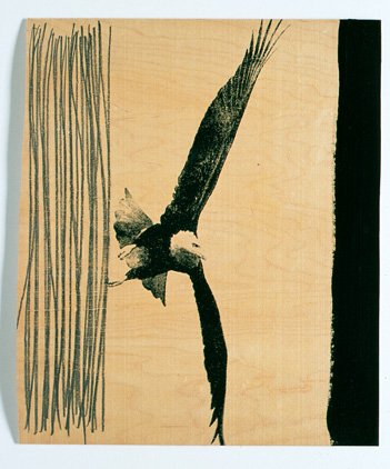Eagle with 30