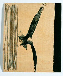 Eagle with 30