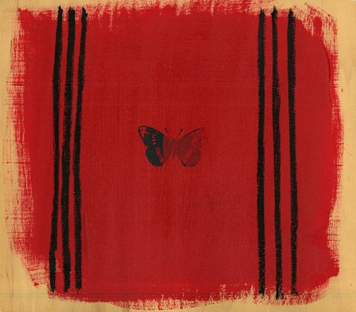 Butterfly with Black Stripes