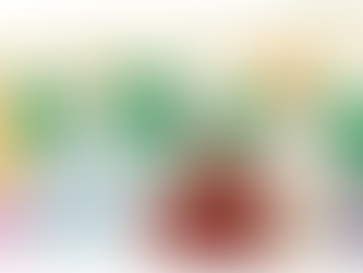 Ageing Migrants in Aotearoa Policy Seminar Presentations