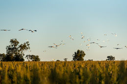 DSC_7712-16.jpg