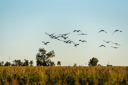 DSC_7703-14.jpg